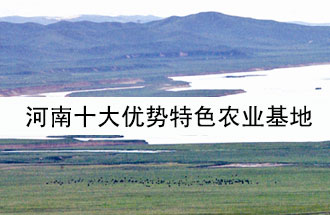 8月19日，河南省政府發(fā)布了關于深入推進農業(yè)供給側結構性改革 大力發(fā)展優(yōu)勢特色農業(yè)的意見