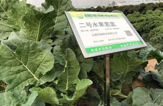 10月23日，中國（鄭州）種業(yè)博覽會(huì)將在河南省鄭州市中牟縣官渡鎮(zhèn)鄉(xiāng)謠農(nóng)場舉辦